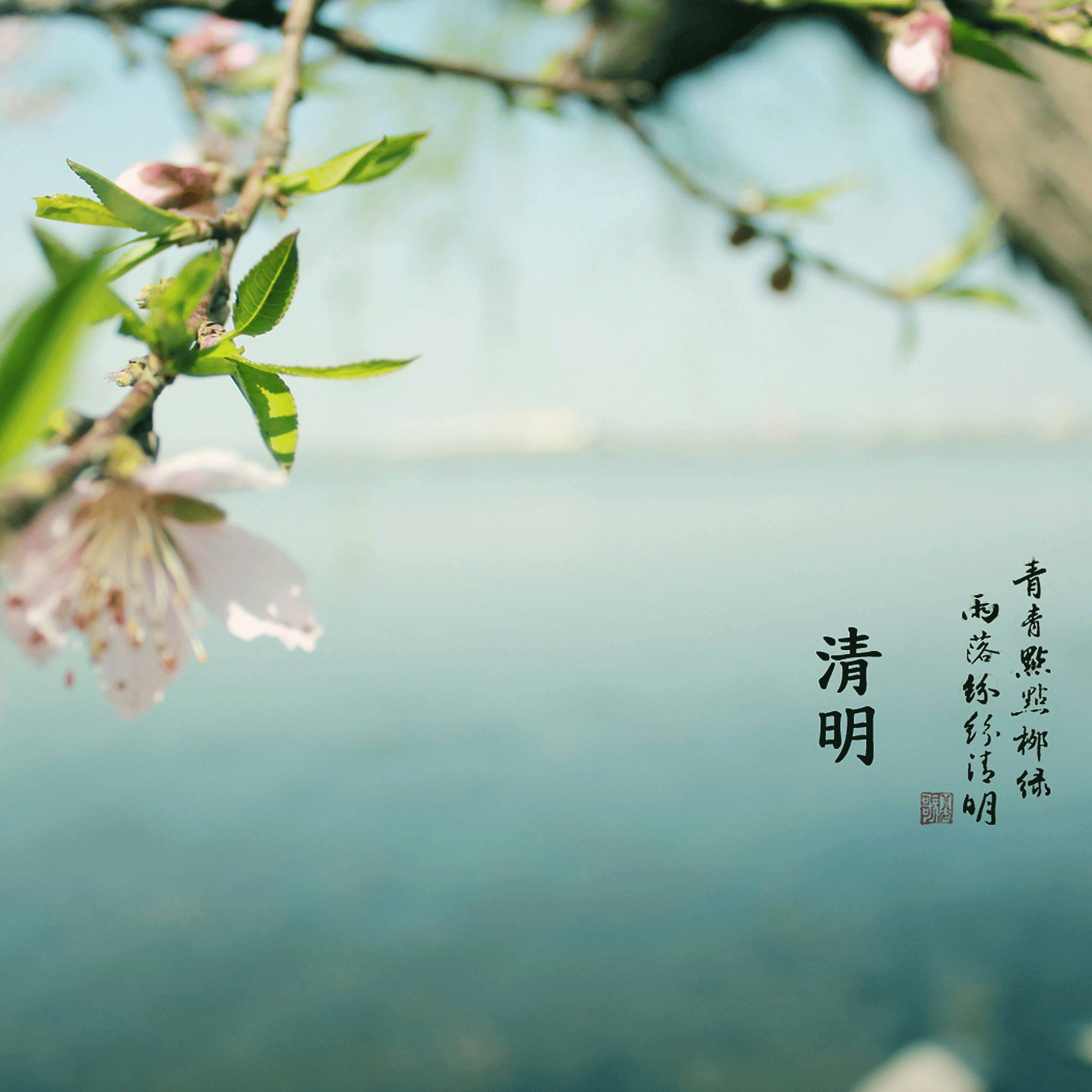 清明全攻略，?洛陽(yáng)遠(yuǎn)見(jiàn)祝您小長(zhǎng)假愉快！
